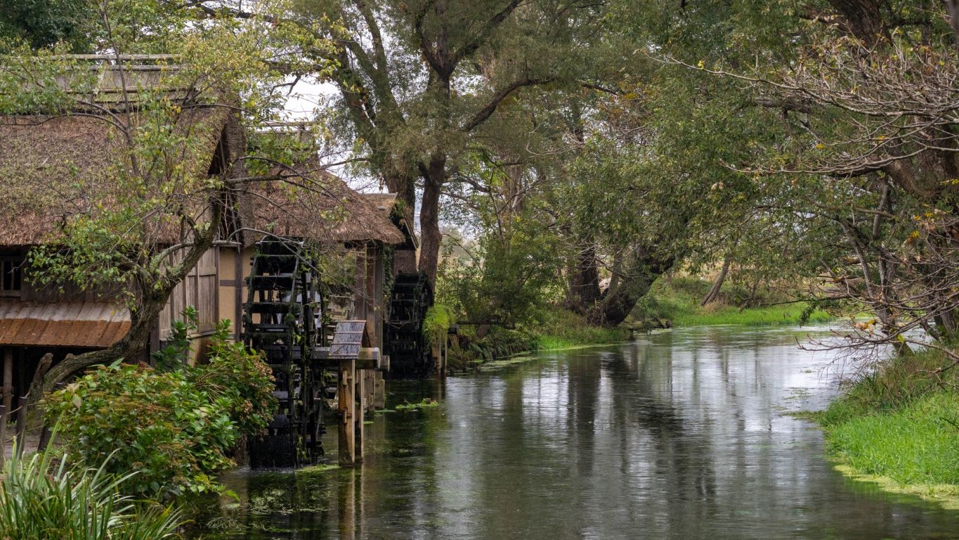 Wasabi Farm in Azumino Nagano Prefecture